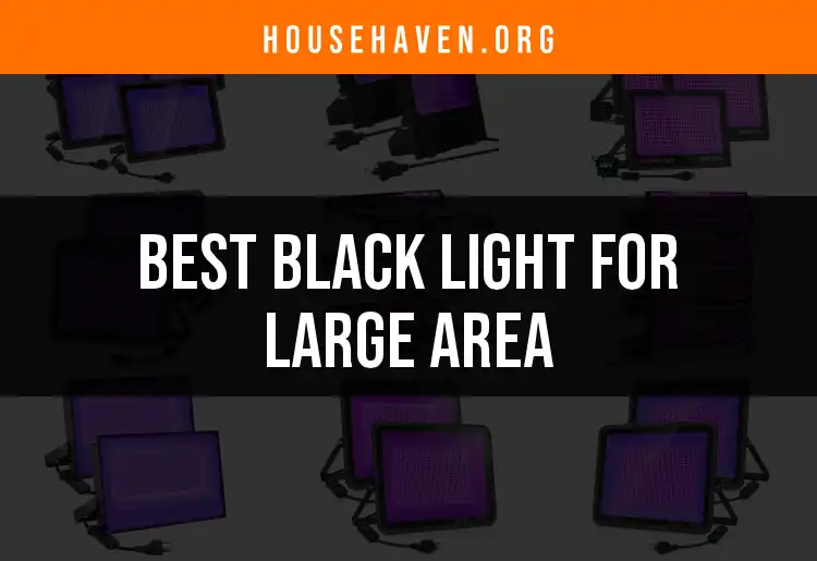 15 Top Black Lights for Large Area Illumination
