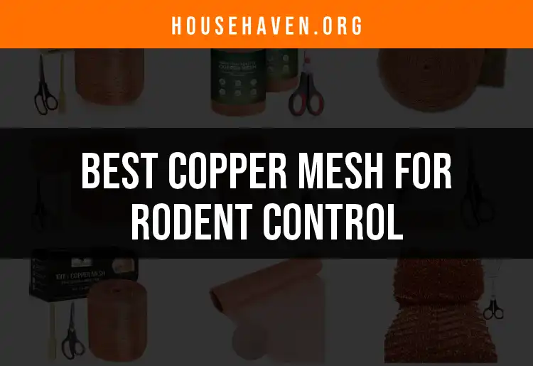 Top 10 Copper Mesh for Rodent Control You Can Trust featured