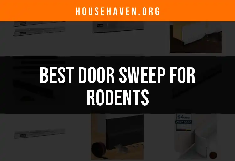 14 Best Door Sweeps for Rodents to Keep Your Home Safe featured