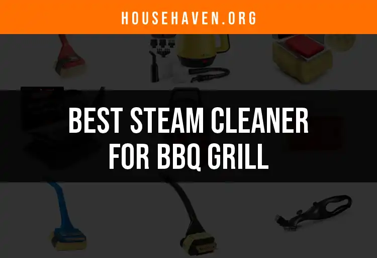16 Best Steam Cleaners for BBQ Grills